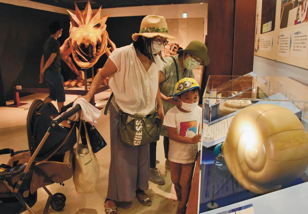 ポケモン化石博物館 大人気 三笠市立博物館 近隣施設にも波及 Mamatalk