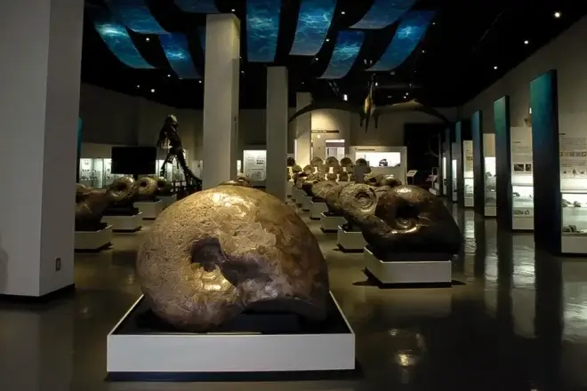 展示室1「白亜紀の世界と化石」
