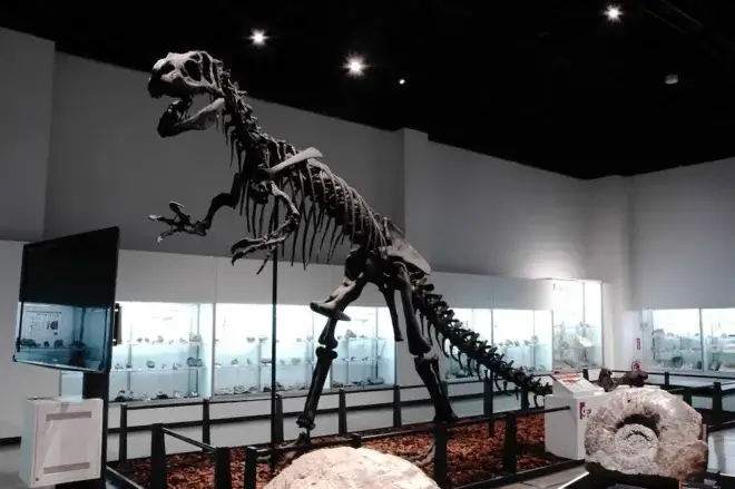 アロサウルスの全身骨格レプリカ