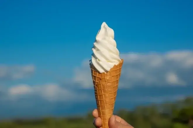 美瑛放牧酪農農場の牛乳を使用した大人気のソフトクリーム