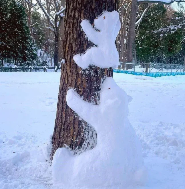 木登りをするクマの親子の雪像(田中宏美さん提供)