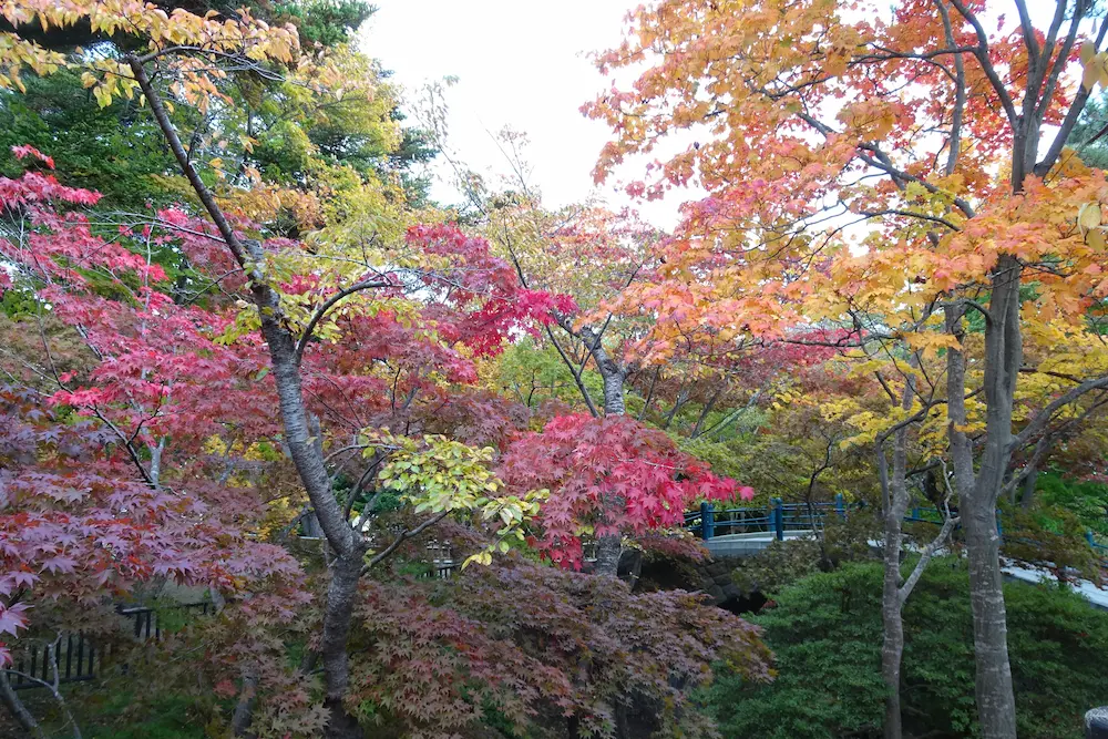 北海道最初の洋式石橋といわれる白川橋と紅葉。秋には紅葉狩りもおすすめ