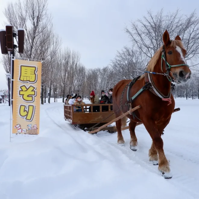雪の中を走る「馬ソリ」