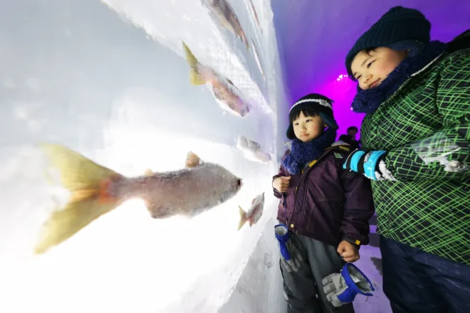 支笏湖特産のヒメマスなどを凍結した「氷の水族館」（岩崎勝撮影）