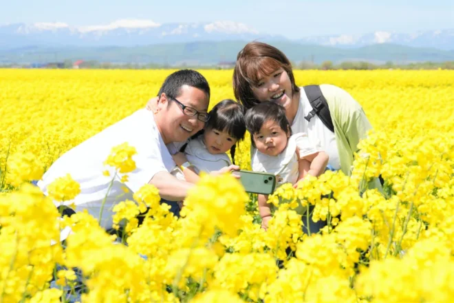 一面を黄色に染める菜の花に囲まれながら、写真撮影を楽しむ家族