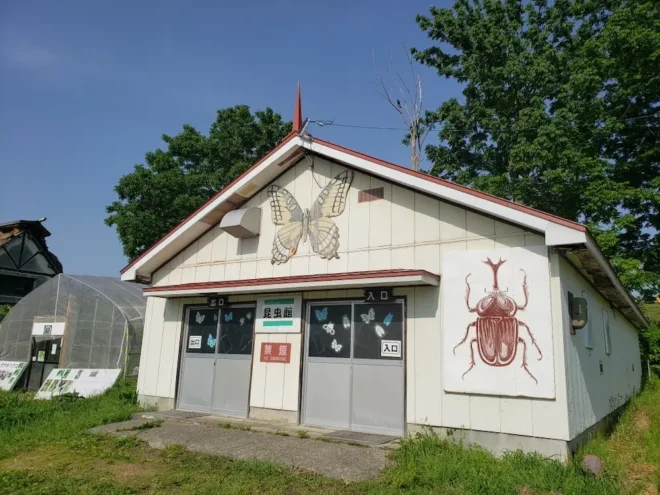 世界の昆虫標本館&オオムラサキを観察できるスポット