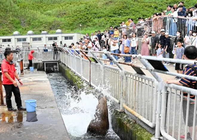 来館者へ水しぶきを浴びせかけるトド