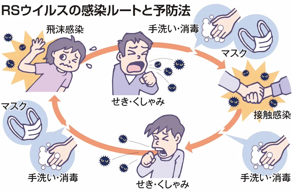 RSウイルスの感染ルートと予防法